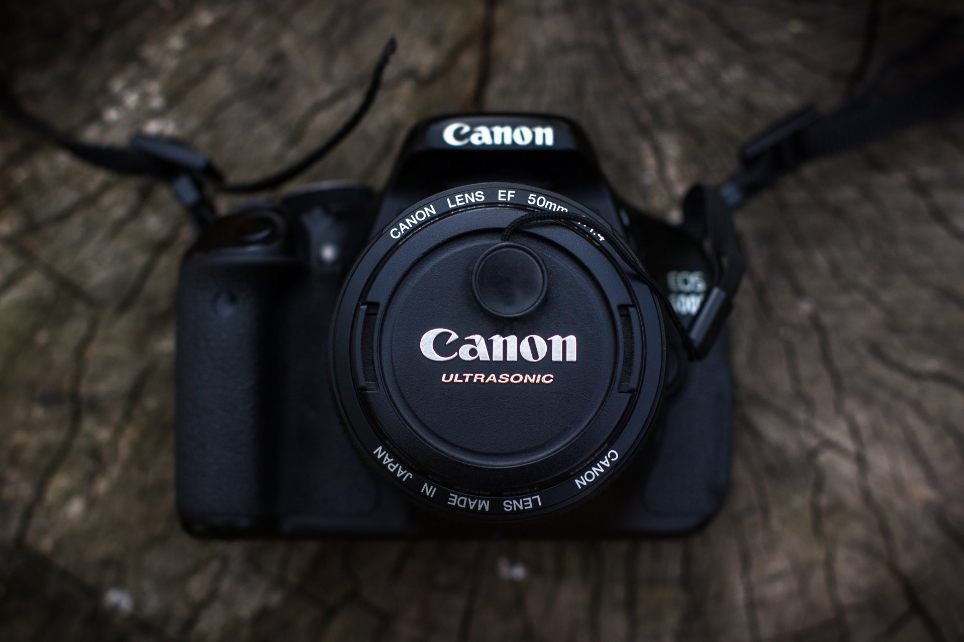 appareil photo canon bois objectif