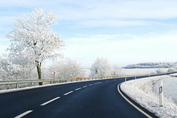 Paysage de piste enneigée avec des arbres
