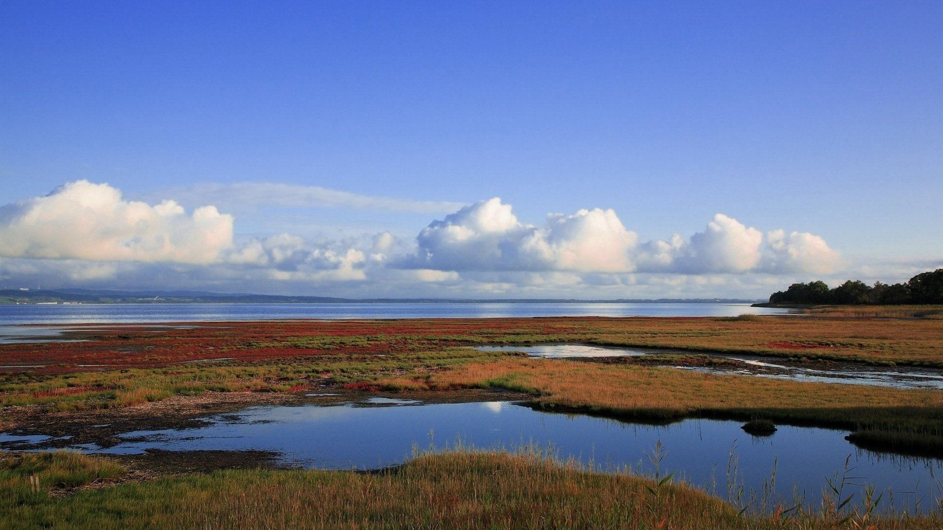 scissions de la terre eau bleue herbe ciel eau horizon nuages marais paysage nature été