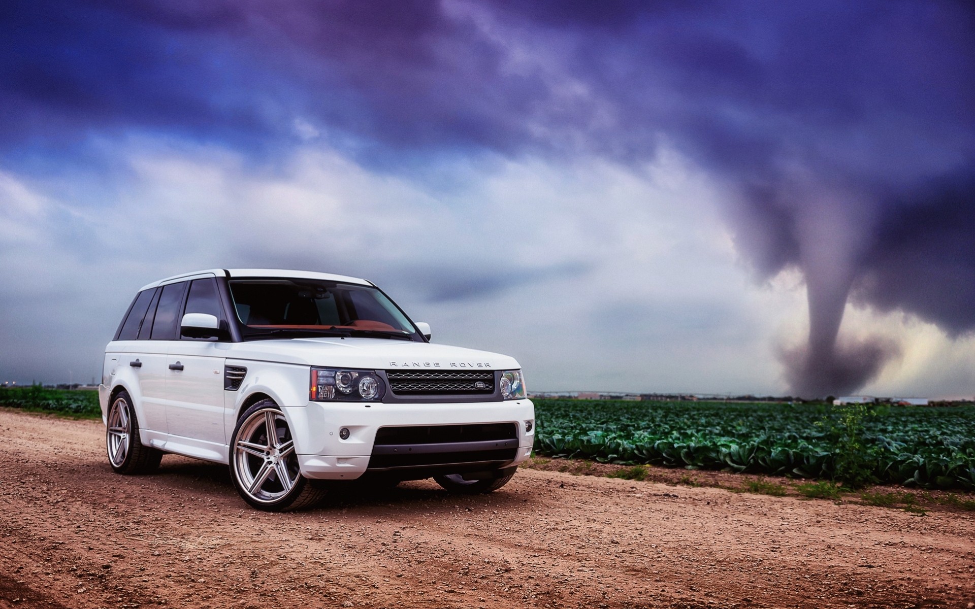 renge rover land rover blanc asiatique sport