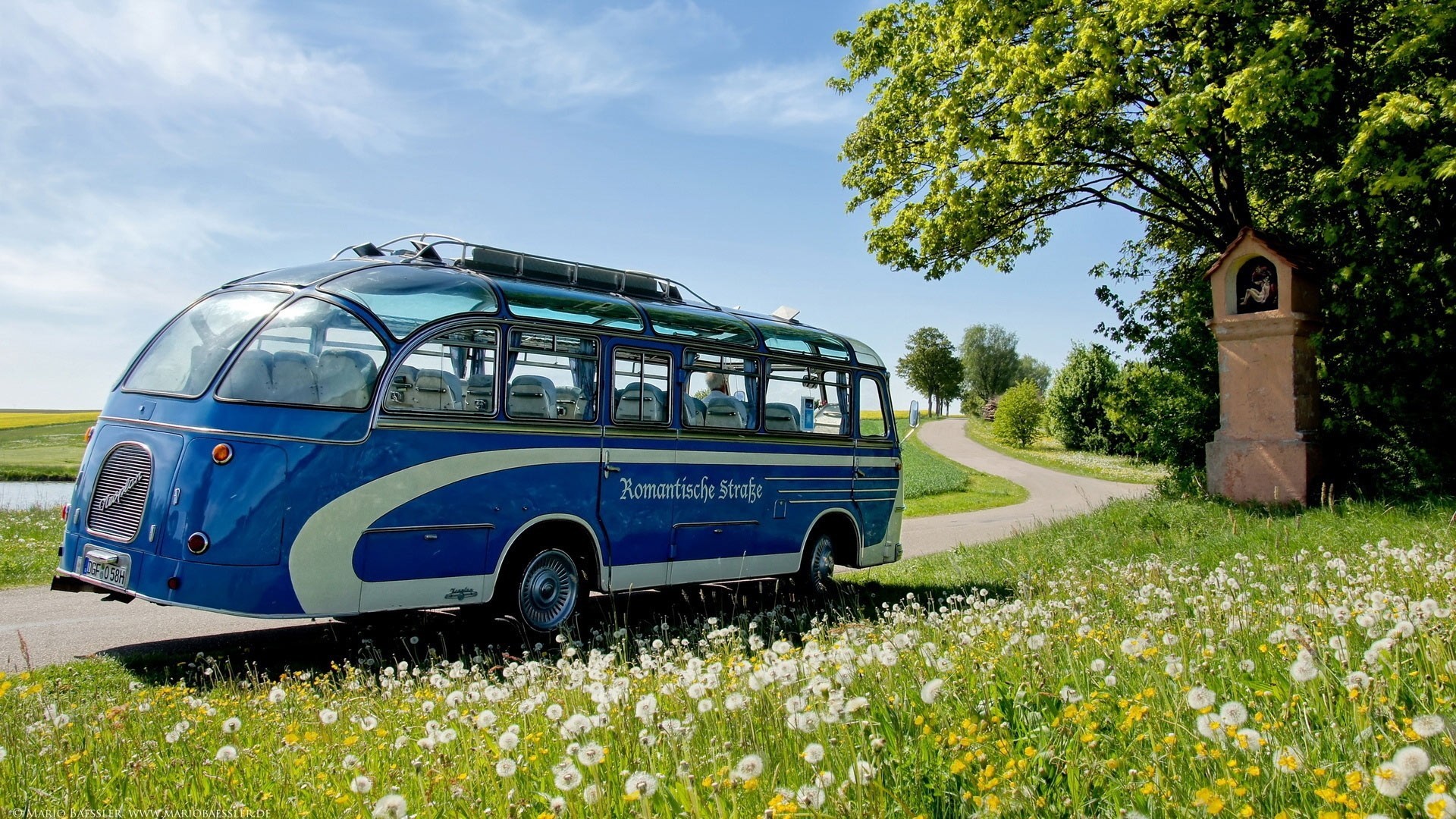 bus