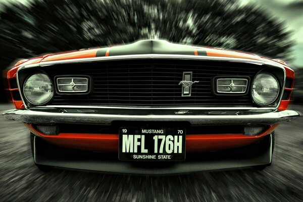 Museau de Ford Mustang sur fond flou