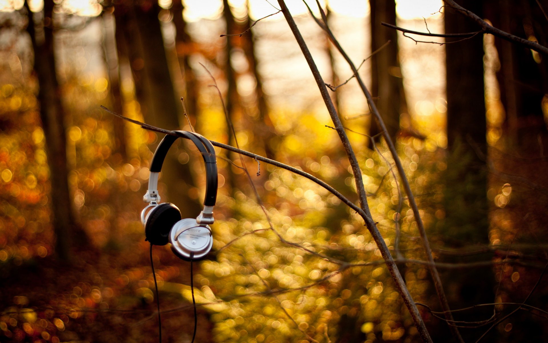 casque sony forêt branches