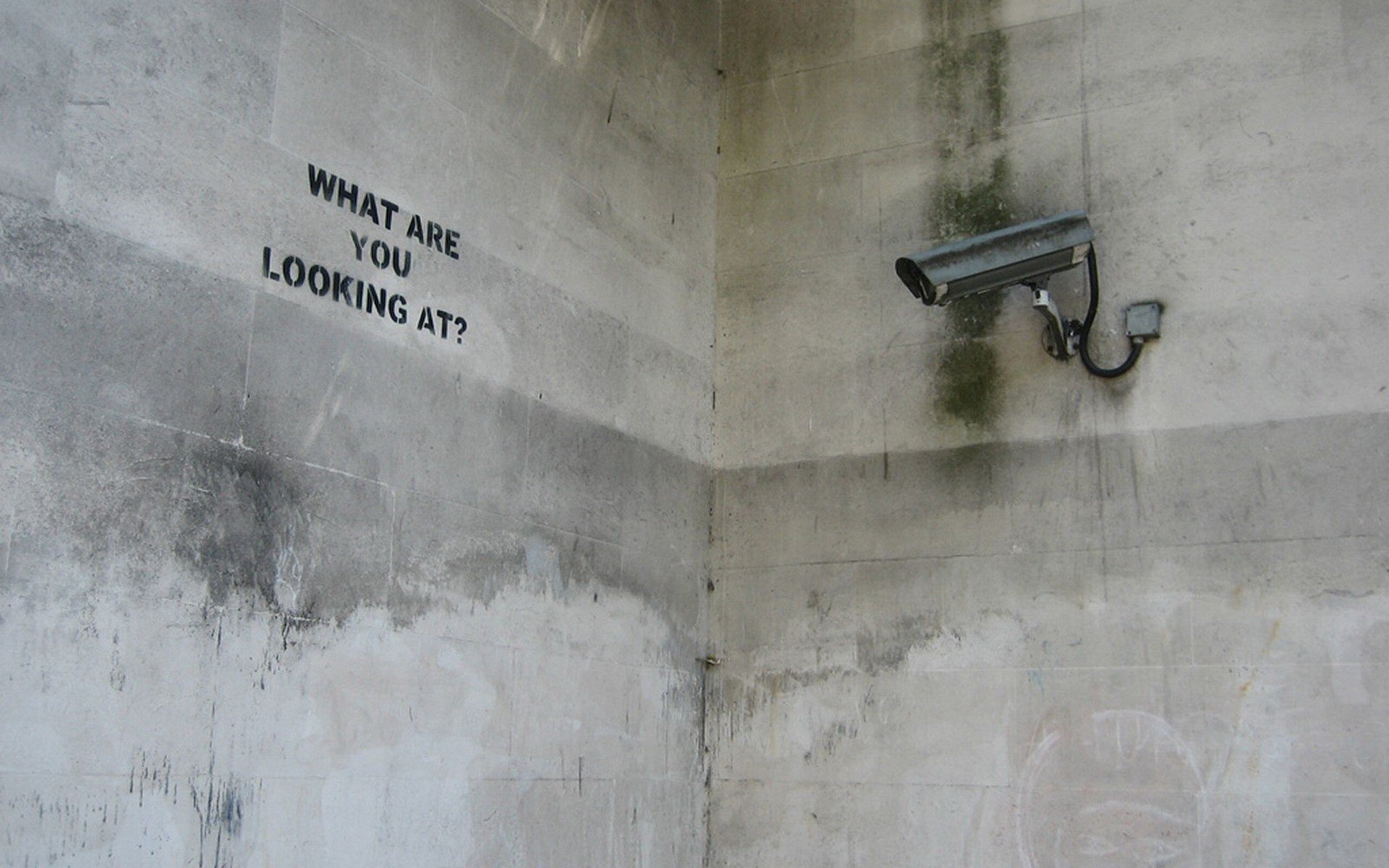 murs en béton che regarder caméra noir et blanc