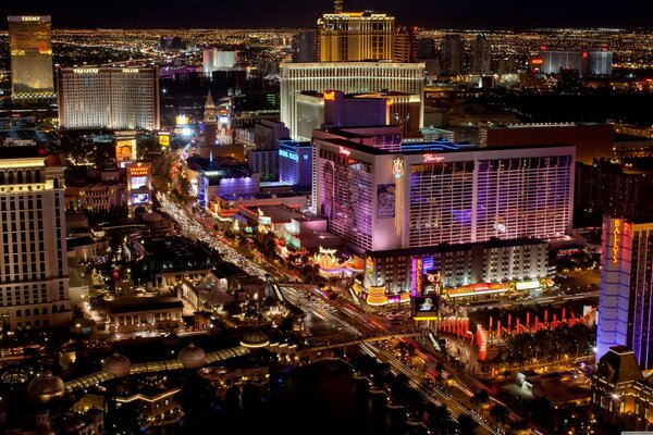 Las Vegas avec les flamants du Nevada