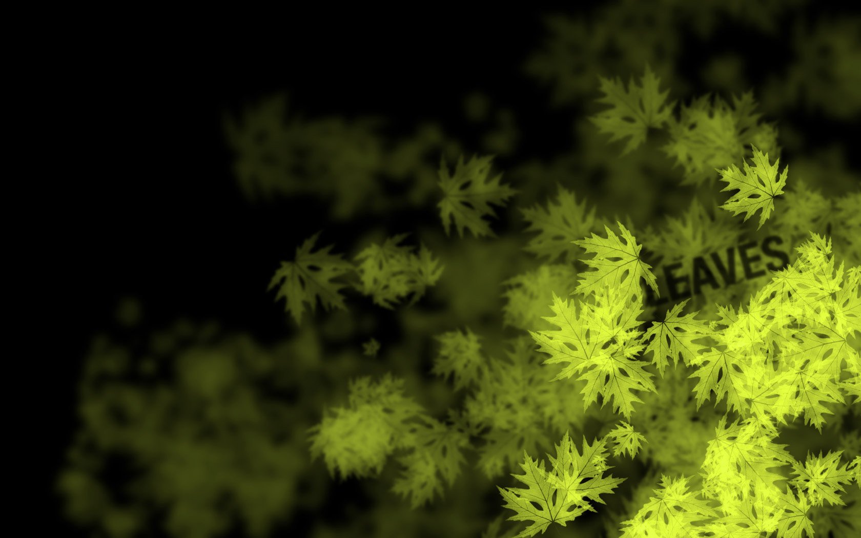 feuilles érable inscription jaune fond noir verdure fond sombre dessin mot texture érable
