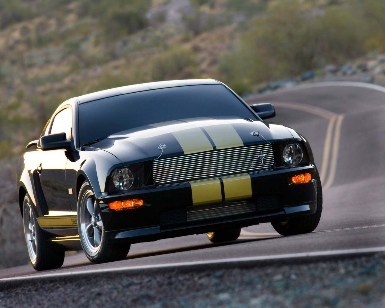 auto mustang route
