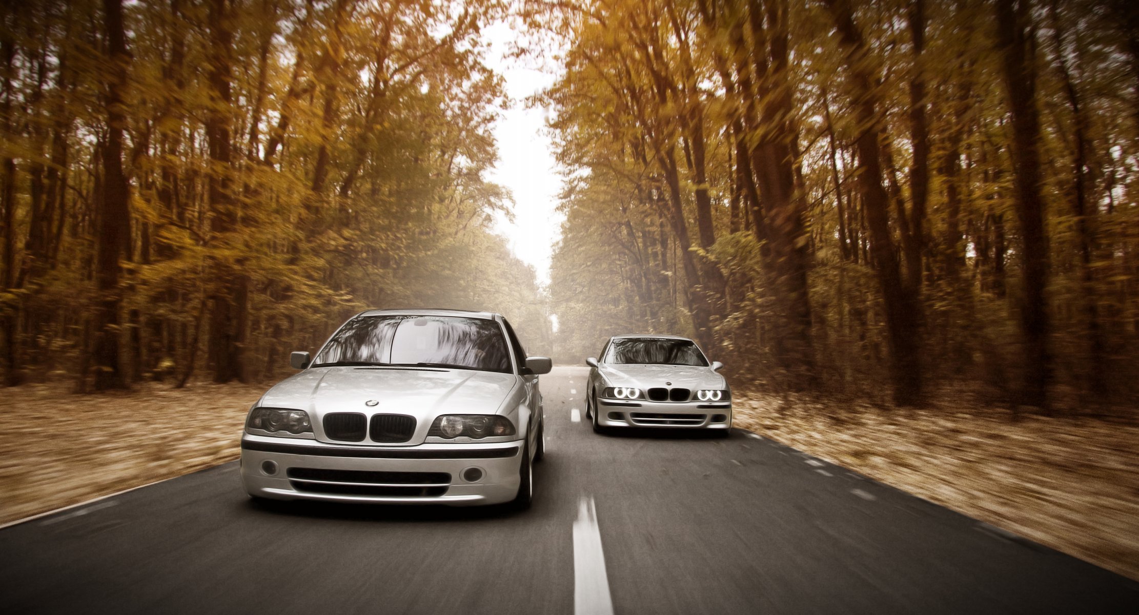 bmw e39 e46 m5 position de course route vitesse automne forêt phares