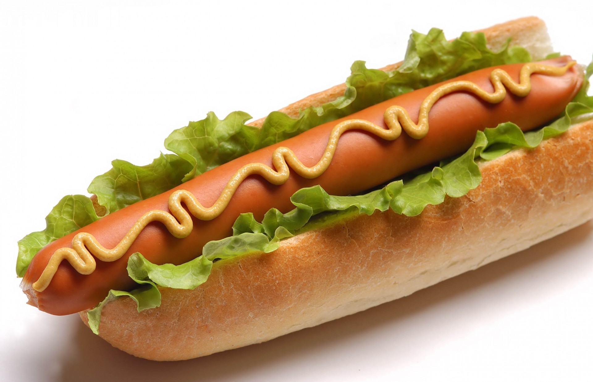 saucisses sandwich fond blanc chou moutarde