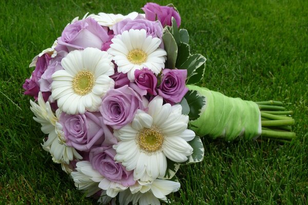 Bouquet de camomille et de roses se trouve sur l herbe