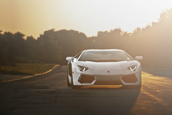 Lamborghini aventador lp700-4 blanc sur la route au coucher du soleil