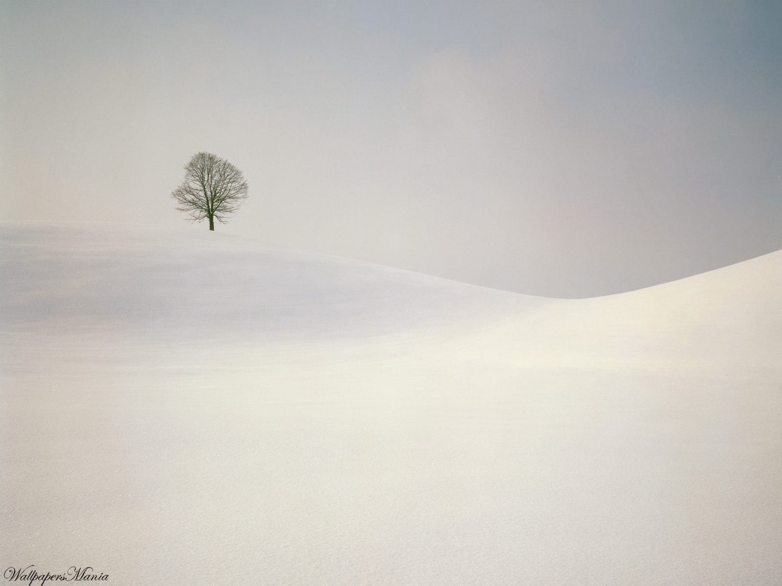 minimalisme bois collines