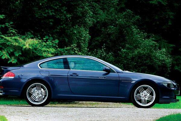 BMW bleu sur fond de verdure luxuriante