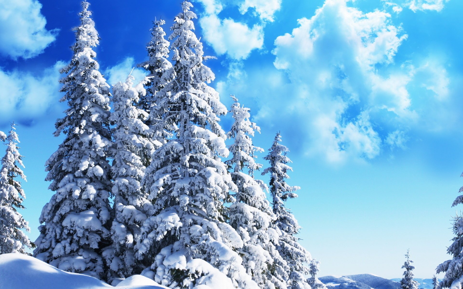 couvert de neige sapins ciel hiver nuages