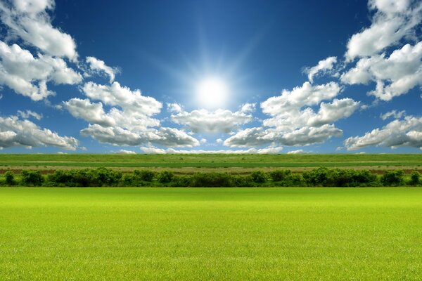 Soleil nuages ciel herbe