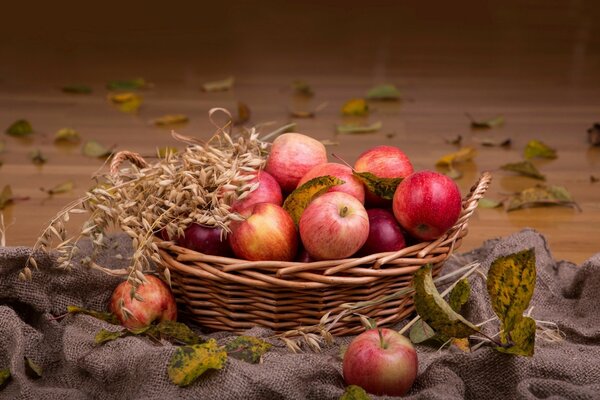 Automne nature morte pommes dans un panier