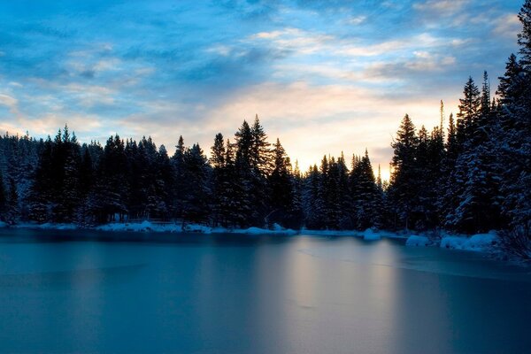 Lac en hiver entouré de forêt