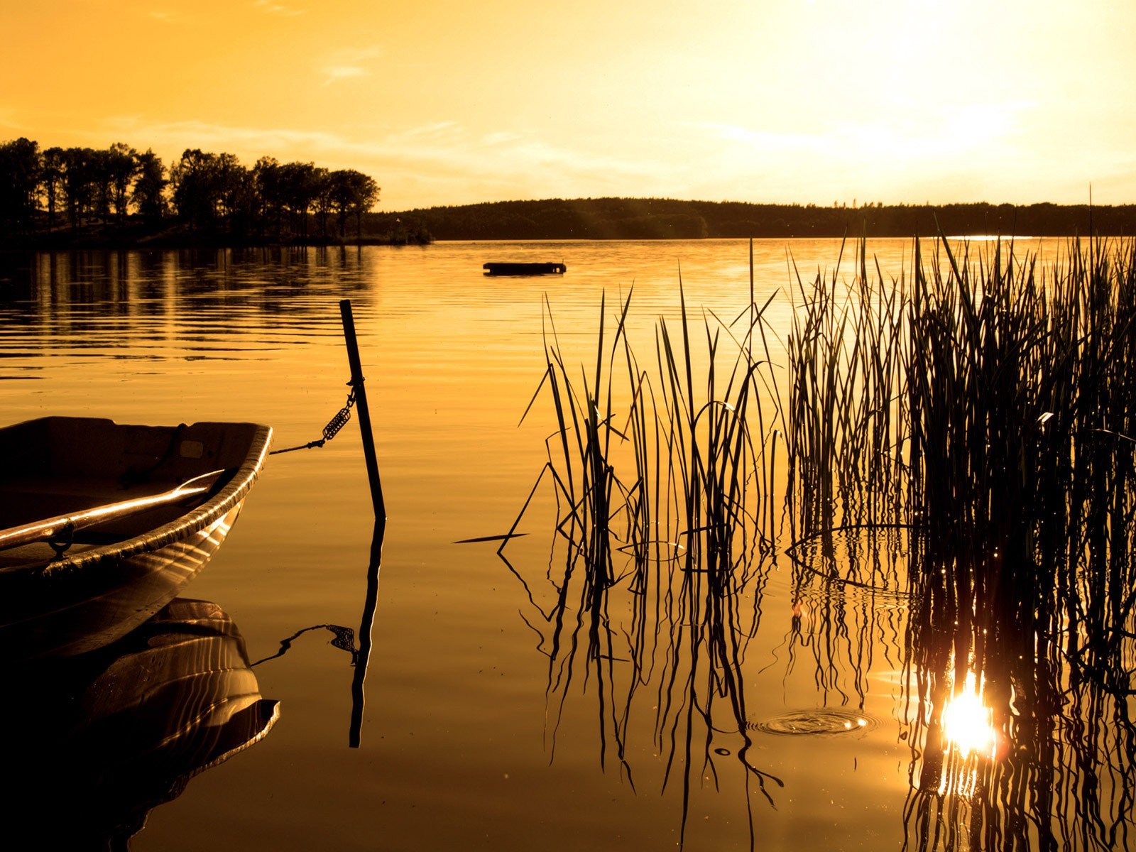 bateau lac forêt coucher de soleil sépia