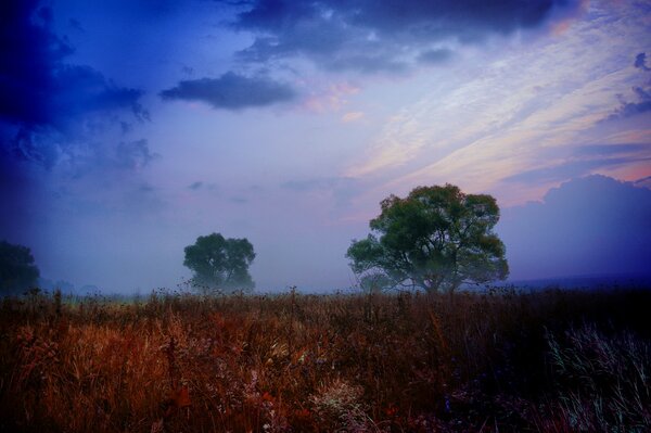 Soirée pajaz nature