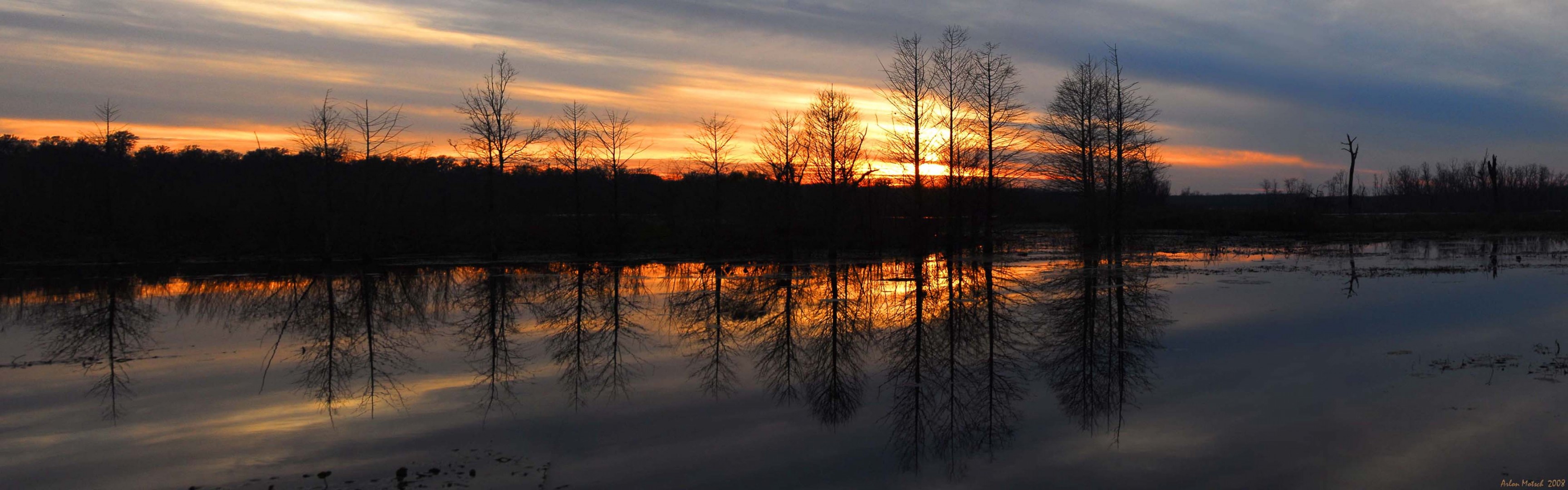 coucher de soleil rivière forêt