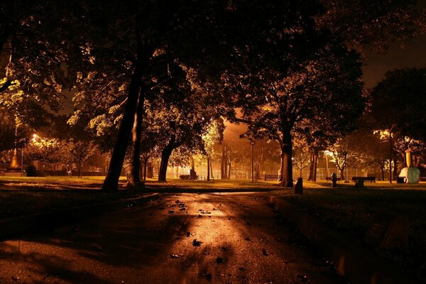Parc sombre dans la nuit à la lumière des lanternes