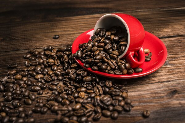 Café émietté et tasse renversée belles pêches au feuillage