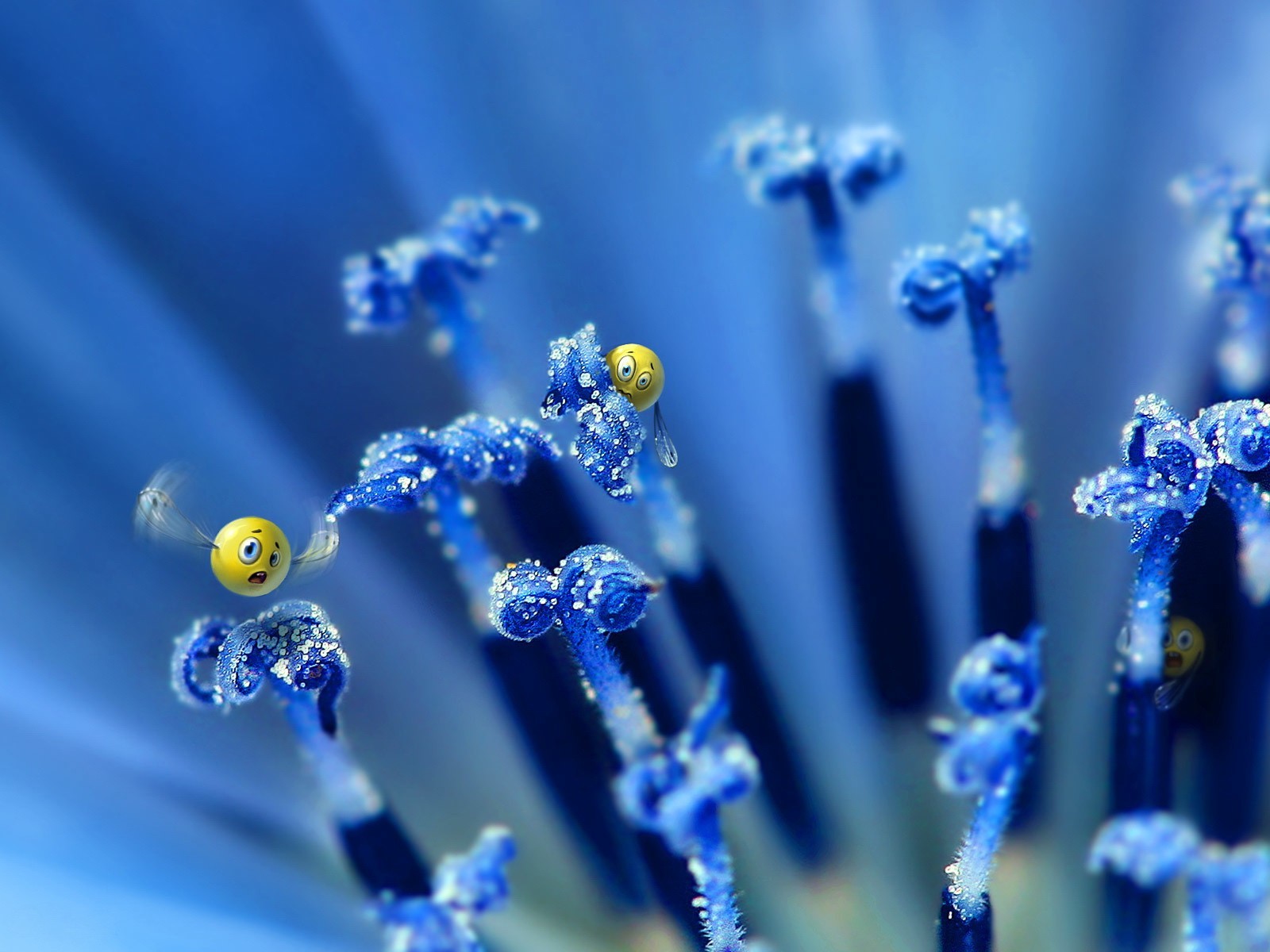 émoticônes fleur bleu