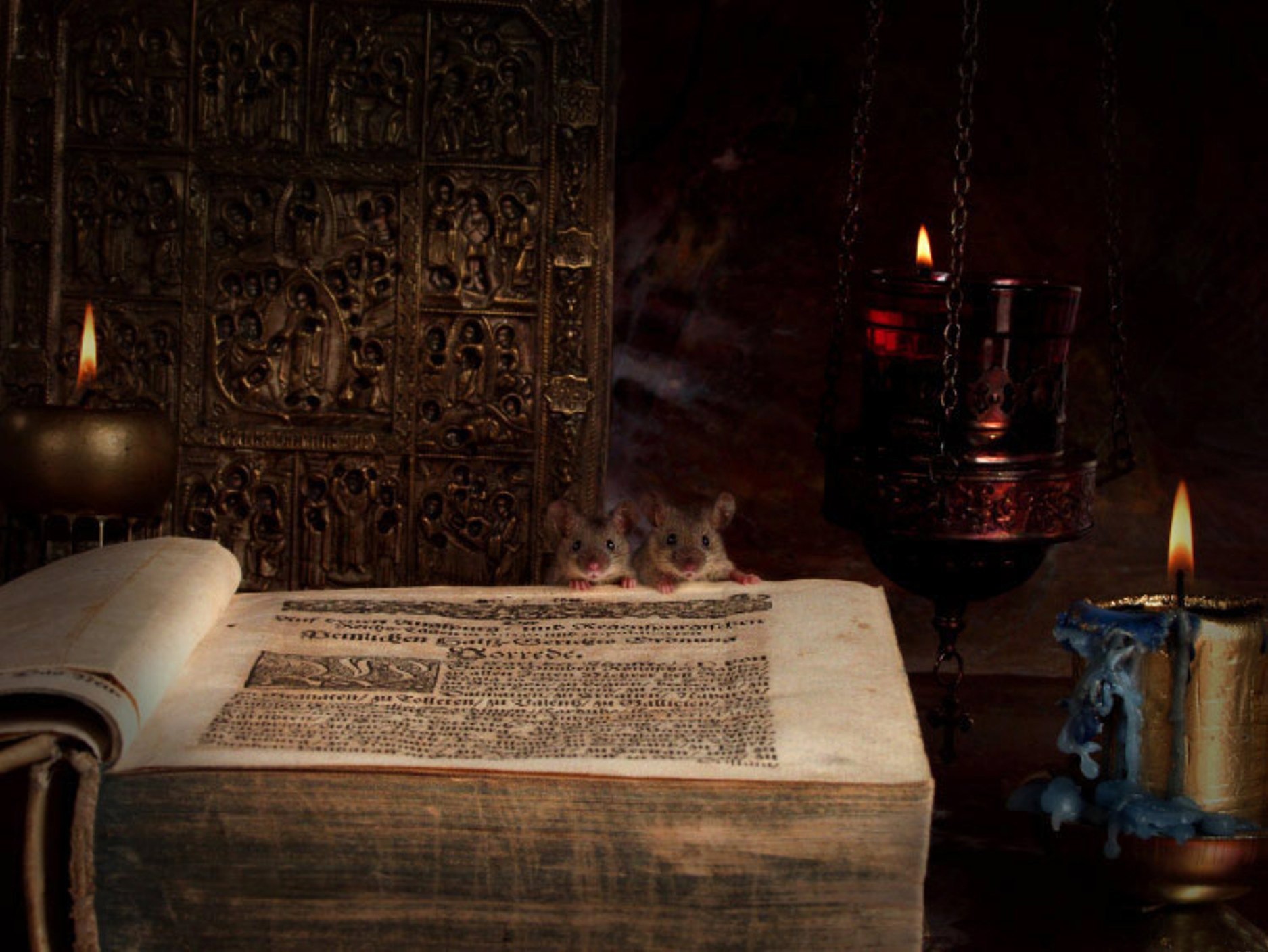 livre souris bougie