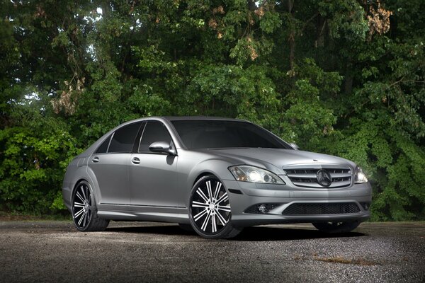 Mercedes argent sur fond de forêt