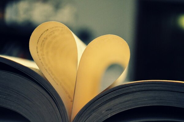 Coeur des pages jaunes du livre