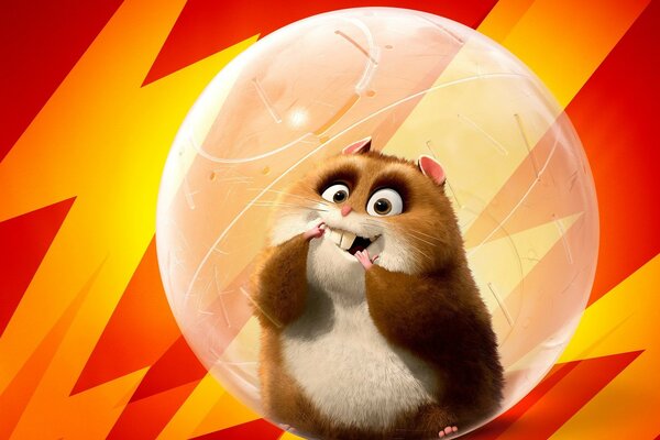 Hamster dans une bulle sur fond rouge