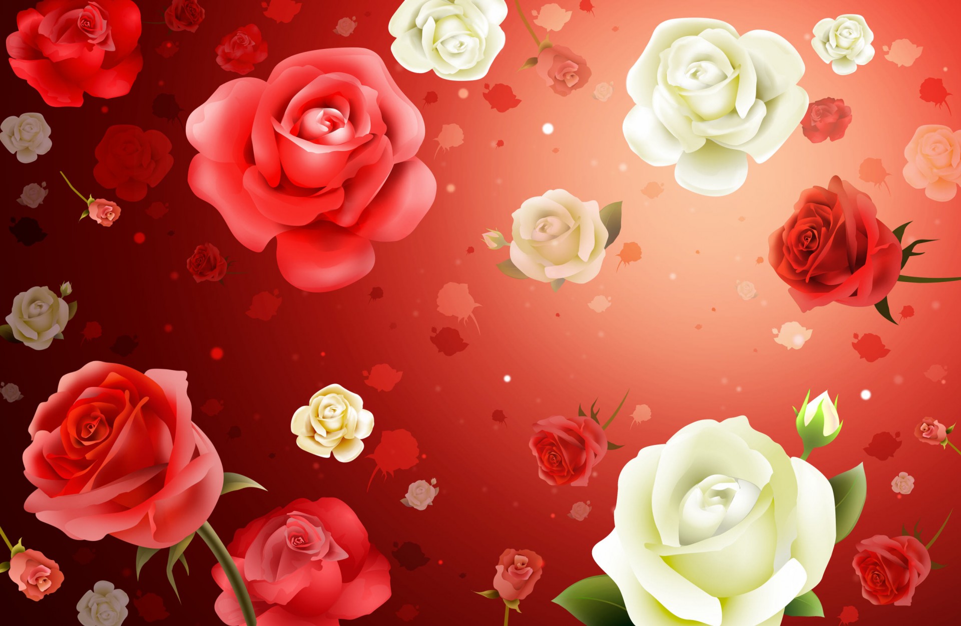 fond roses fleurs