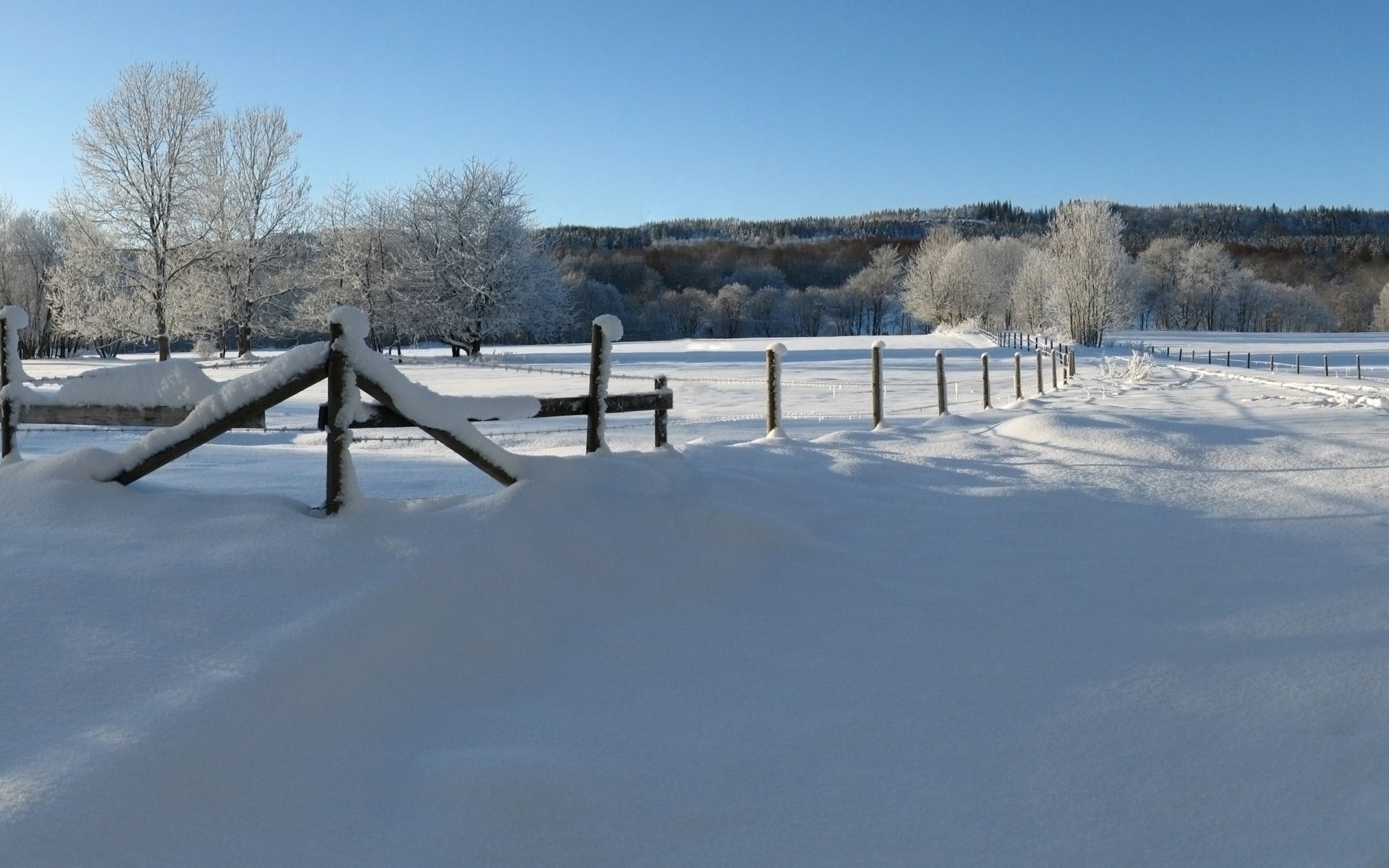 décembre hiver neige