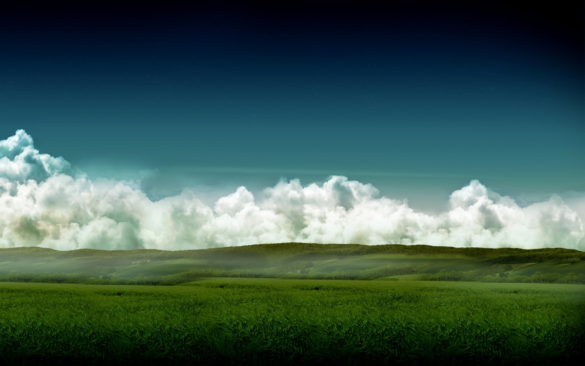 ciel champ herbe