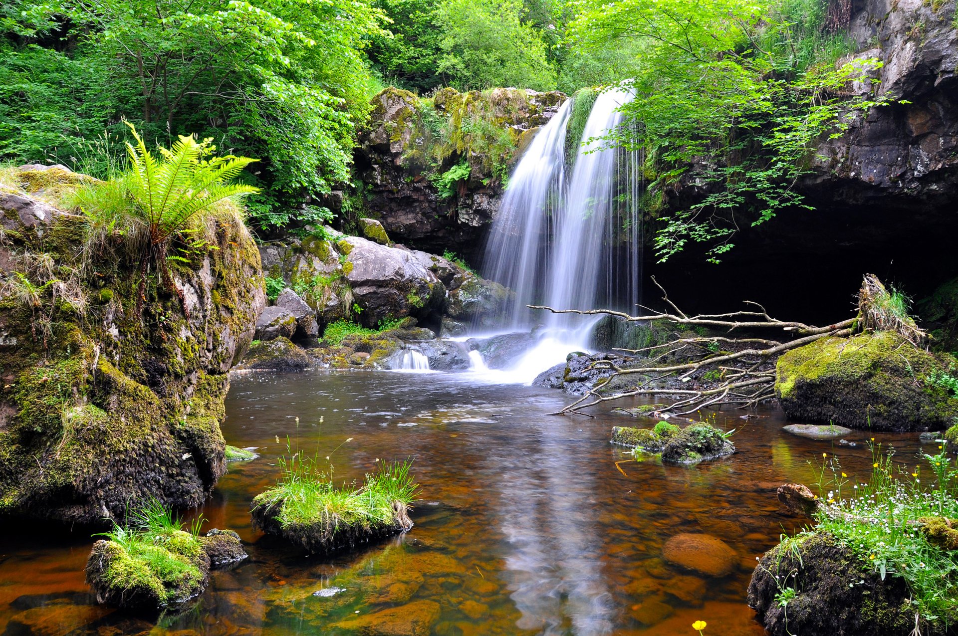 forêt arbres ruisseau cascade pierres