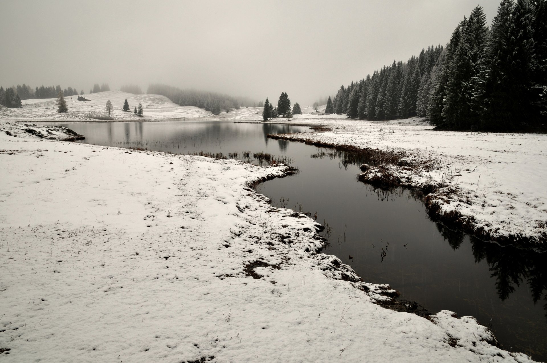 bw paysage rivière hiver neige arbres