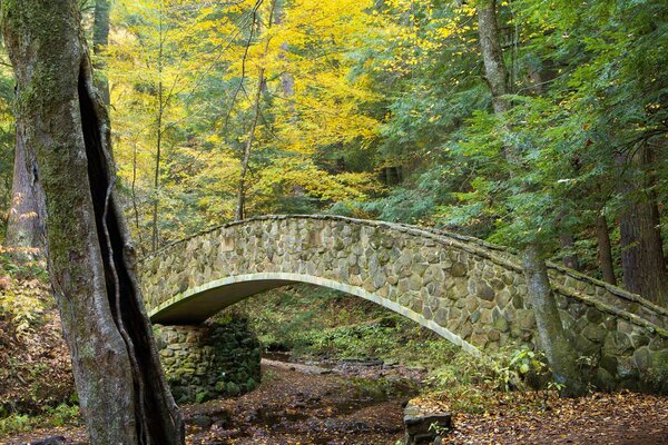 Pont de pierre sur un ruisseau dans la forêt d automne