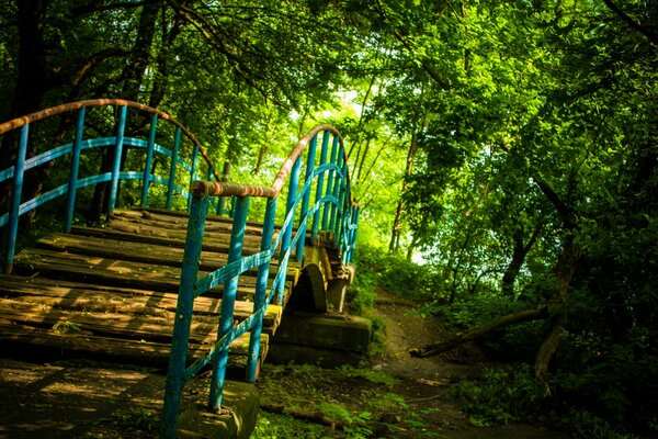 Vieux pont sur fond de forêt