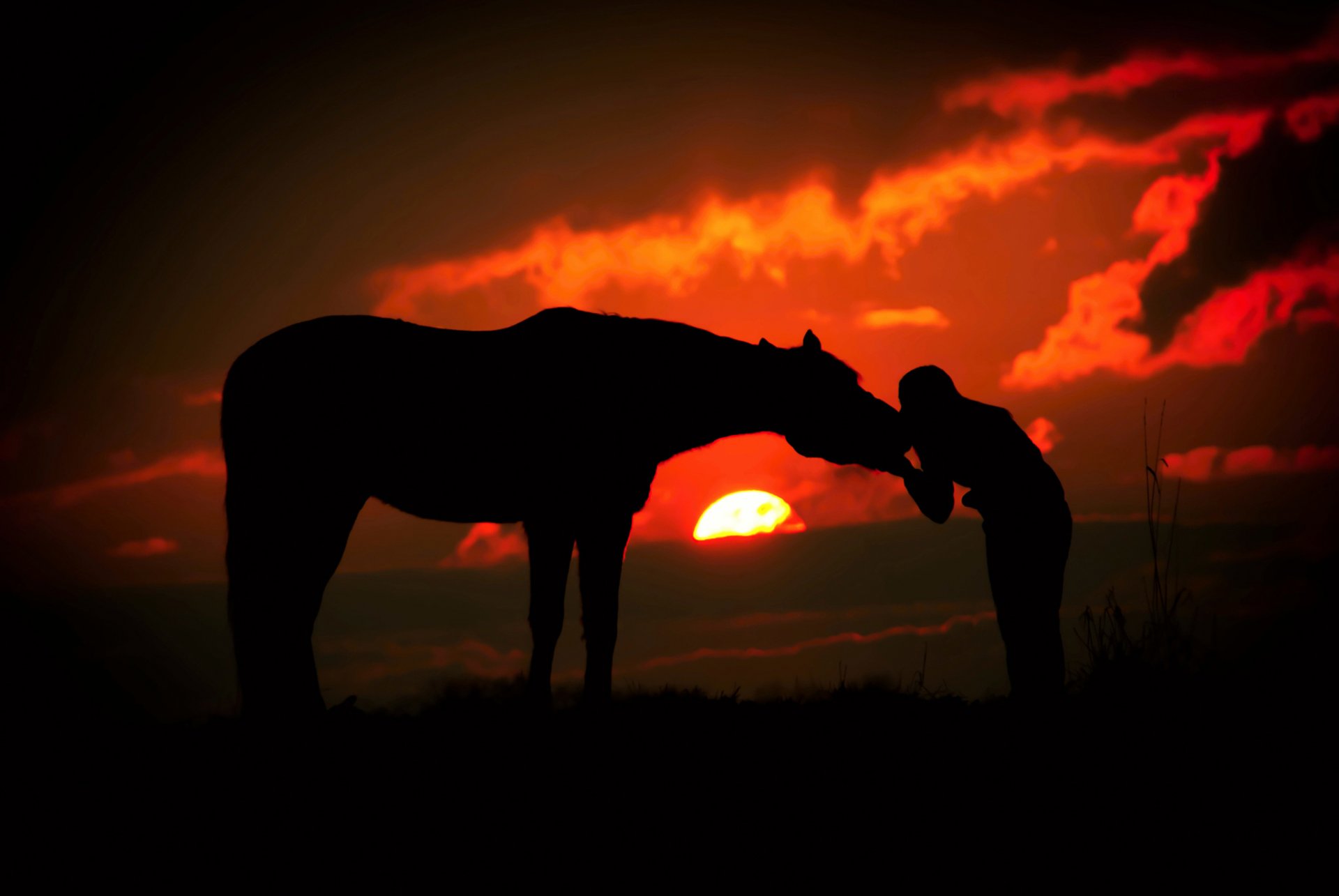 silhouettes fille coucher de soleil cheval nuages soleil