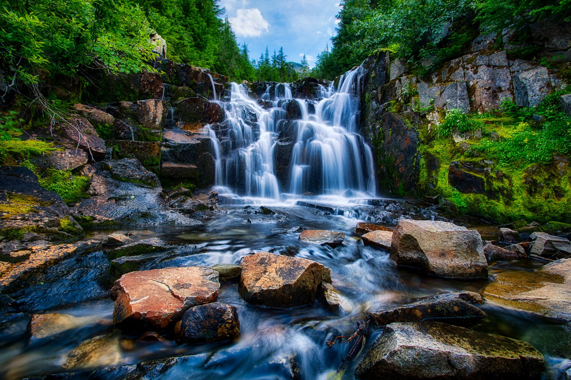 mount rainier washington états-unis cascade rivière pierres arbres forêt