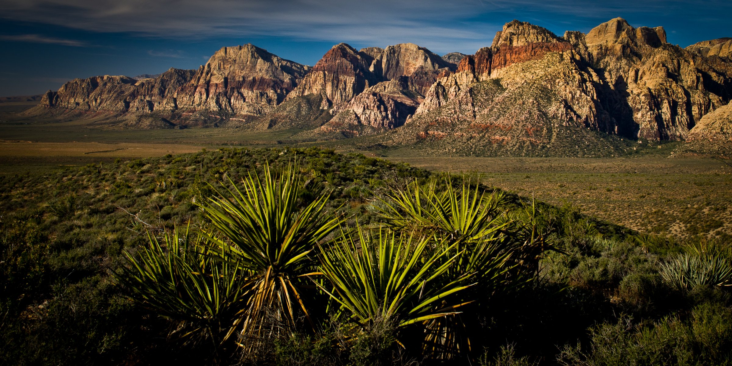 yucca désert las vegas red rock canyon canyon
