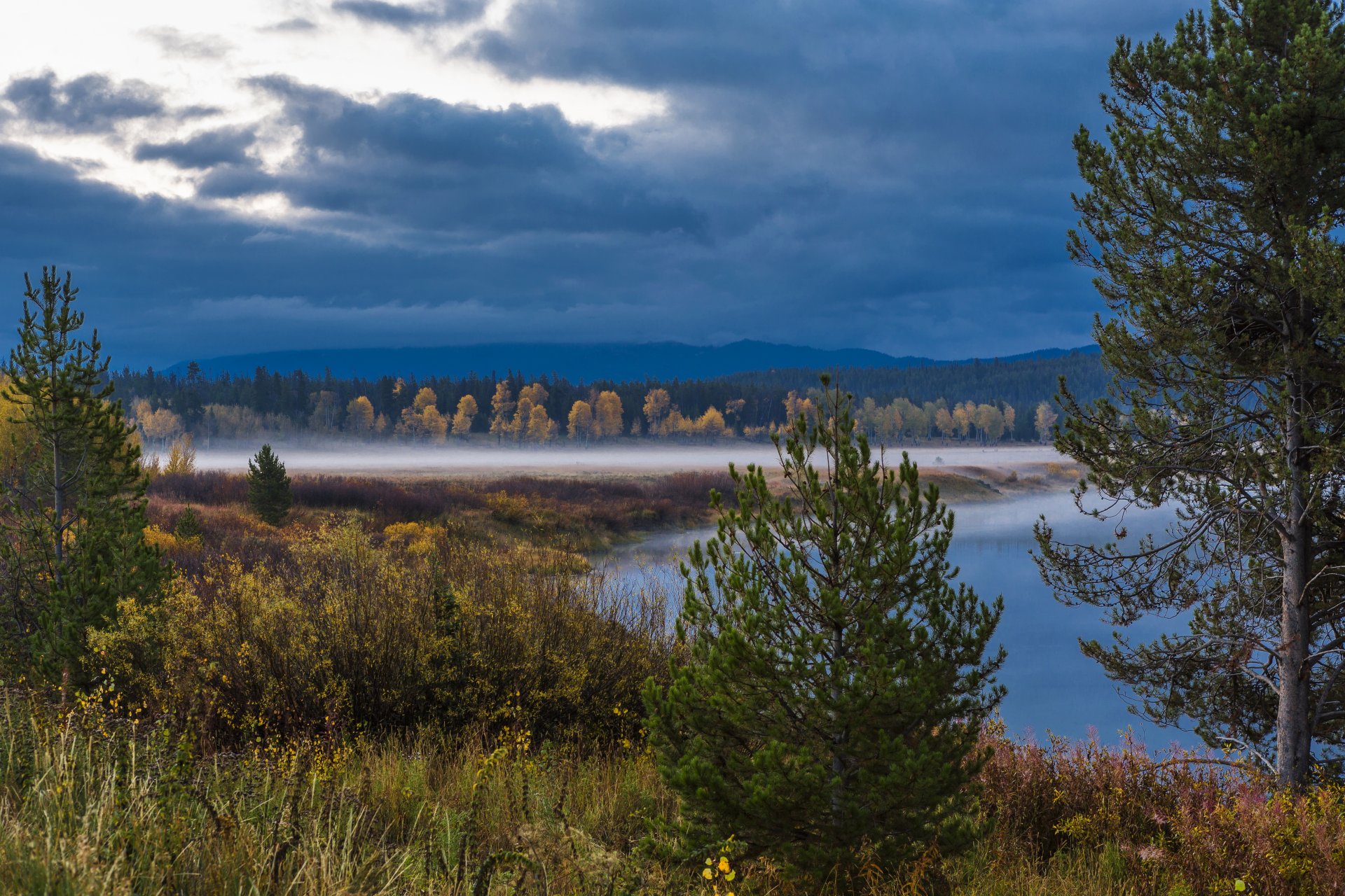 états-unis wyoming parc national grand teton grand teton wyoming forêt buissons brouillard lac arbres nuages