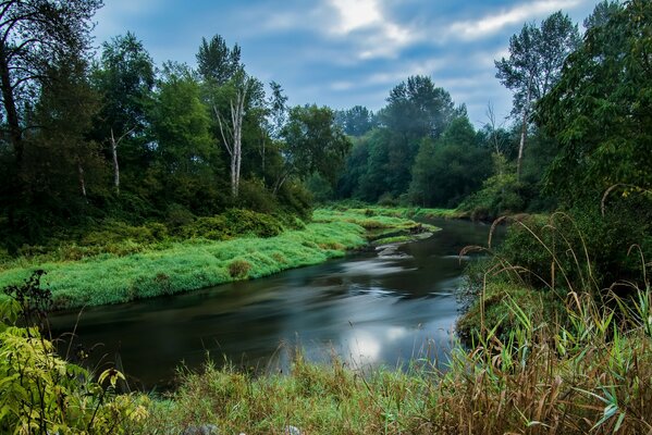 Beau paysage canadien. Rivière dans la forêt