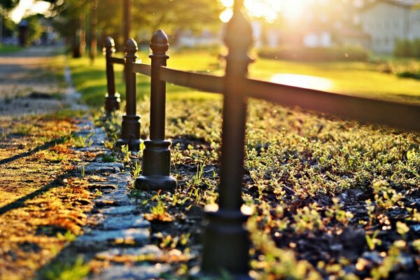 Coucher de soleil d automne dans le parc de la ville