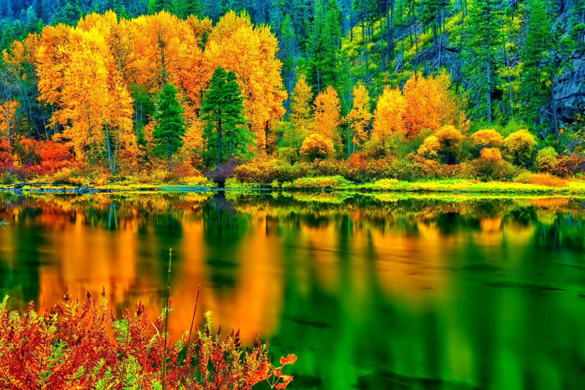 forêt pente arbres automne réflexion lac