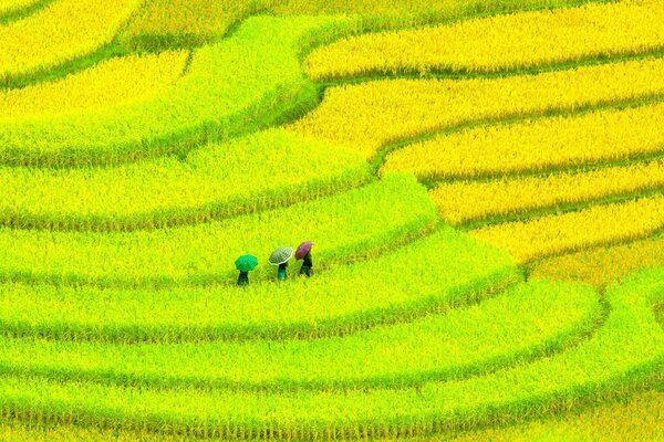 Filles sous les rayons du soleil