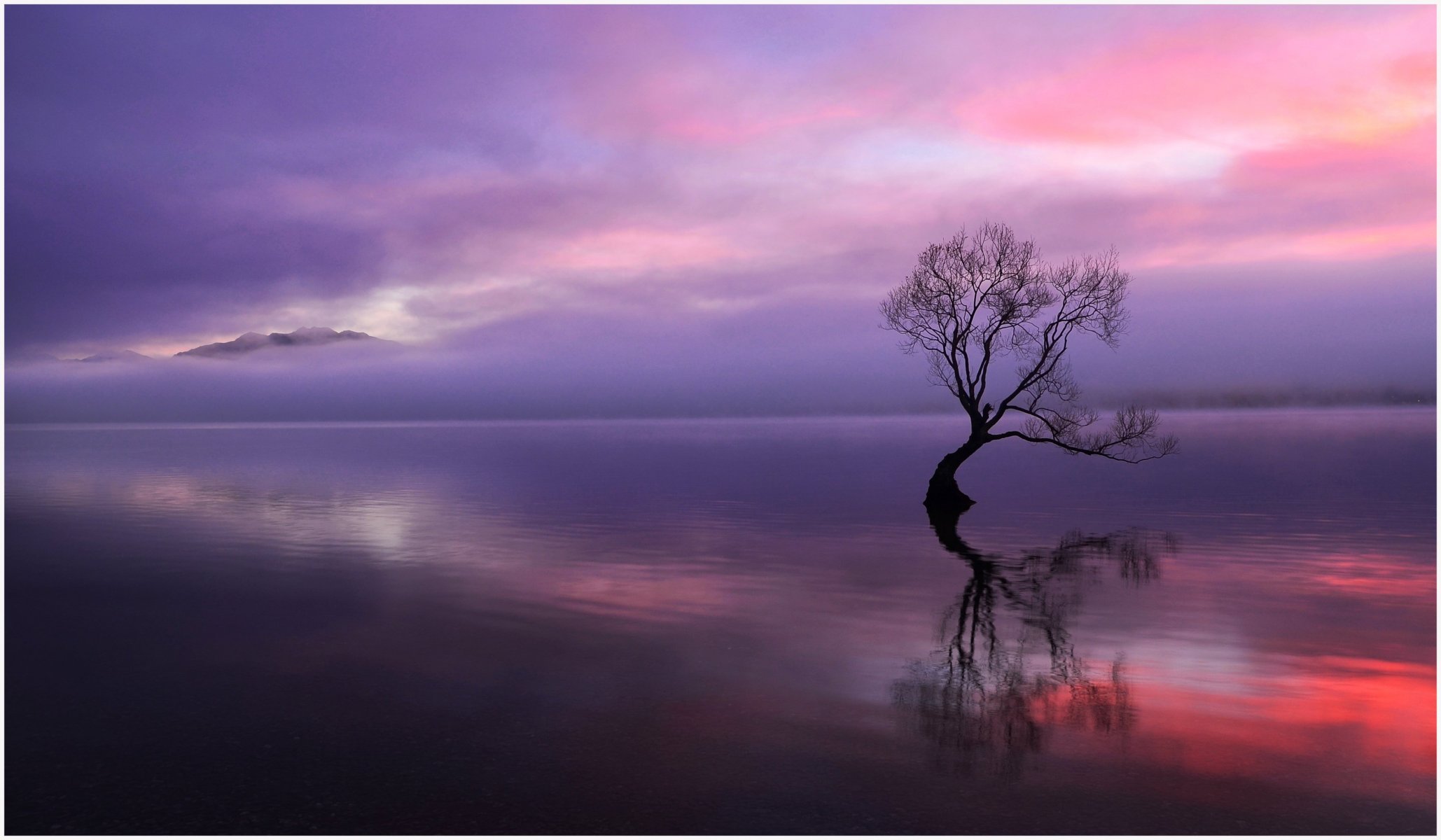 soir lac arbre sec coucher de soleil montagnes nuages réflexion