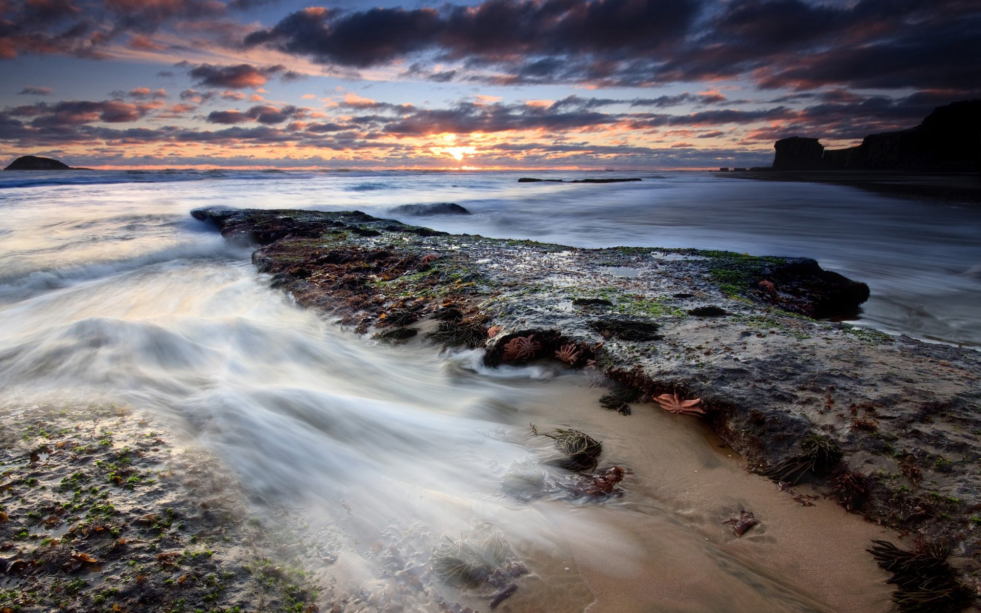 côte pierres eau nuages marée basse