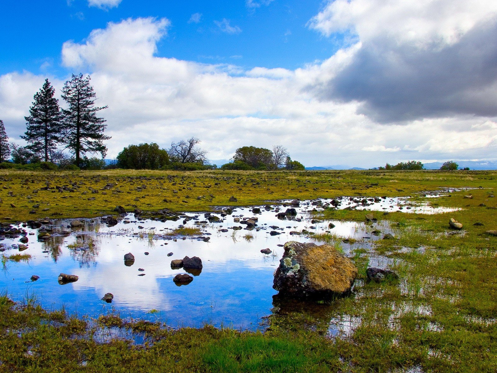 ciel lac nature herbe