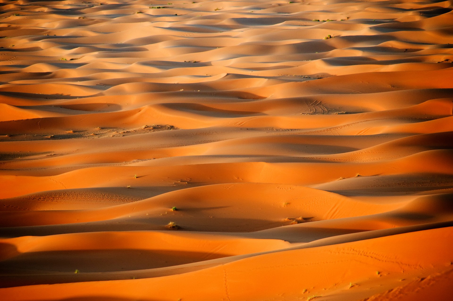 afrique maroc désert sahara dunes